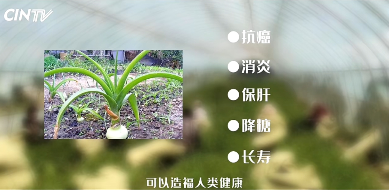 生财有道