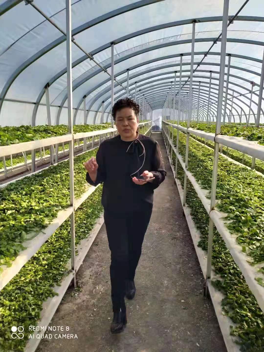 董事长基地视察