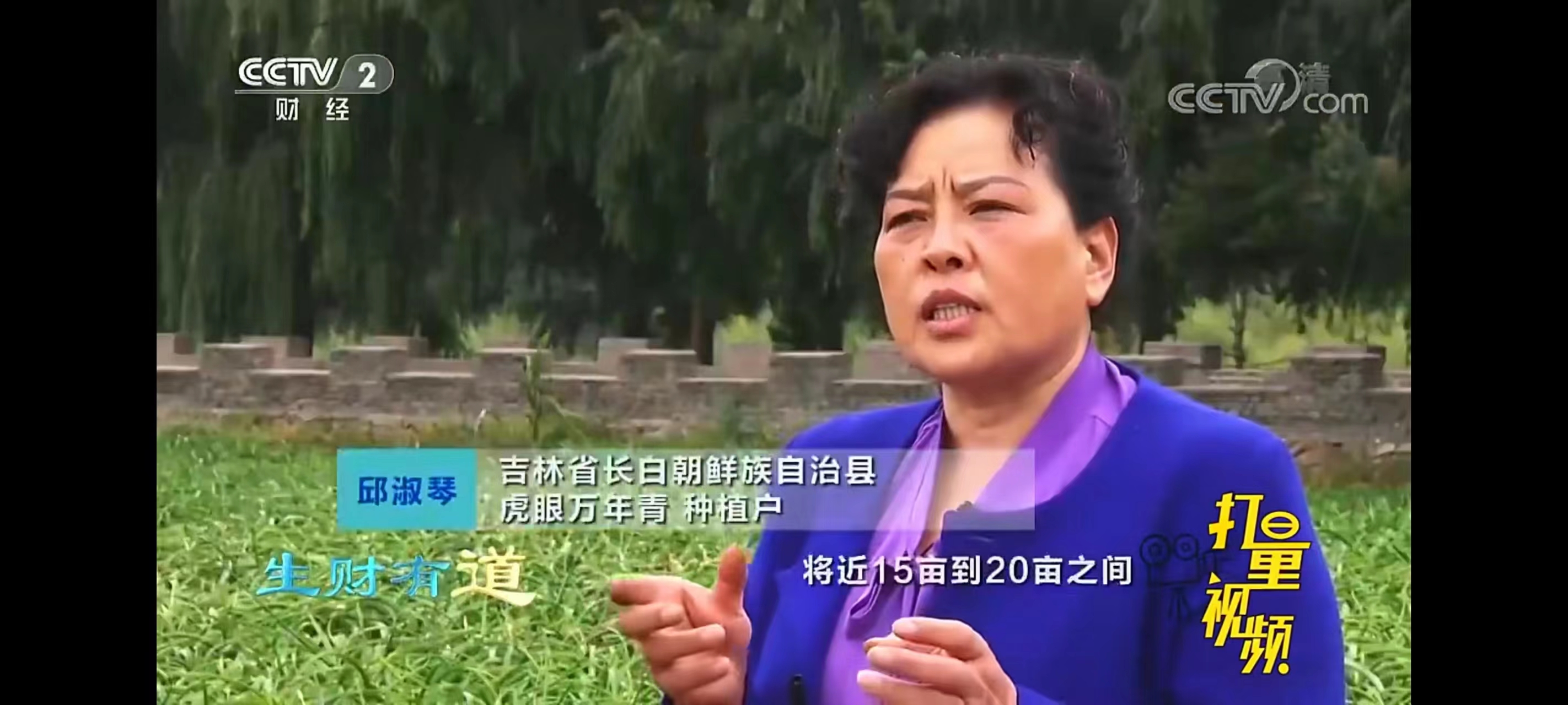 肆；虎眼万年青：探寻历史渊源，解读化学奥秘